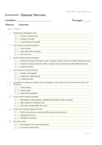 Questionario: Sistema Nervoso
