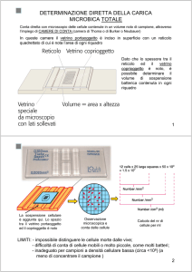 DETERMINAZIONE DIRETTA DELLA CARICA MICROBICA TOTALE