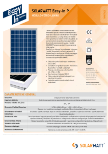 SOLARWATT Easy-In P