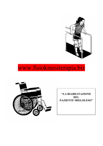 3. - Fisiokinesiterapia