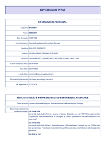 curriculum vitae