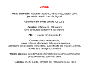 funzione catalitica dello zinco
