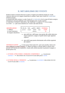 Il metabolismo dei viventi