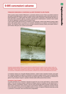 0005_concrezioni calcaree