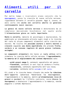 Alimenti utili per il cervello