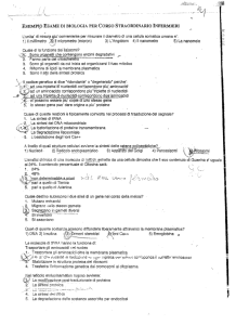 JKloni Ca++ - formatori.veneto.it