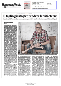 Messaggero Veneto