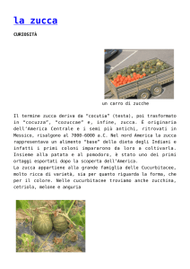la zucca - il ciliegio rosso