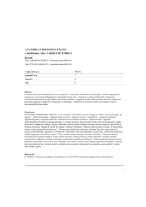 Docenti ANATOMIA E FISIOLOGIA UMANA Coordinatore: Dott