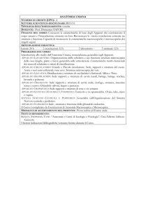 16--Programmi Guida 2013-14 (F.Peluso, 12 programmi)