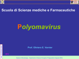 Polyomavirus - Sezione di Microbiologia