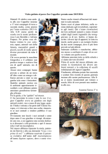 Visita guidata al parco Zoo Cappeller: premio anno 2015/2016