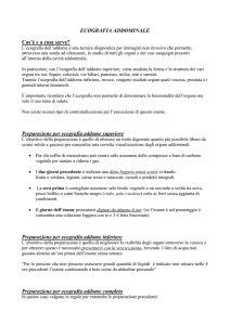 ecografia addominale