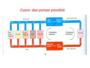 Cuore: due pompe parallele - Progetto e