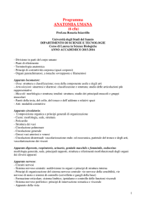 anatomia umana - dst.unisannio.it
