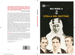 WU MING 4 STELLA DEL MATTINO
