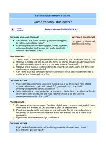 Come vedono i due occhi?