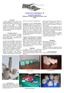 Incontri con la matematica n. 30 Costruire la geometria