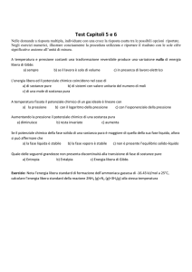Capitoli 5 e 6