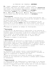 LE FUNZIONI DEI VEGETALI: MUOVERSI A