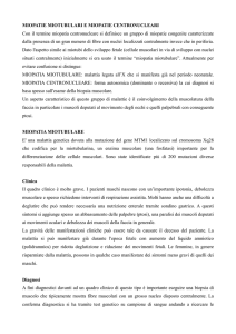 miopatia centronucleare - Fondazione Malattie Miotoniche