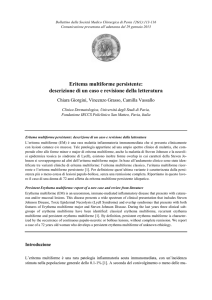 Eritema multiforme persistente: descrizione di un caso e revisione