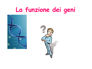 Nessun titolo diapositiva