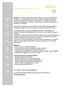 Analista/programmatore java Junior