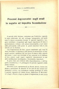Processi degenerativi negli ovuli in seguito ad impedita fecondazione
