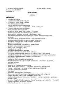 SCI2M - Liceo Classico