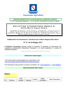 Capua - regione campania - assessorato agricoltura