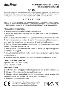 ATTENZIONE ALIMENTATORI SWITCHING PER Nintendo DS Lite