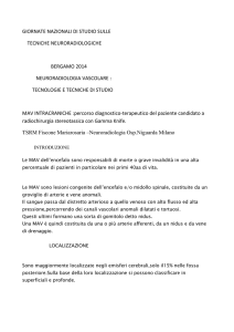 M.A.V. intracraniche