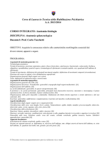 Anatomia splancnologica