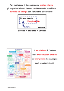 Diapositiva 1