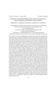 testo estratti