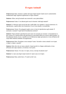Il regno Animali - begnonsoloviaggi.com