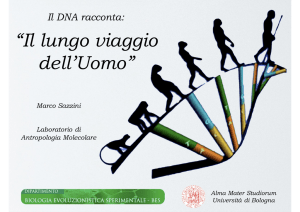 Il lungo viaggio dell`Uomo