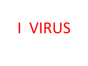 I VIRUS - matematica