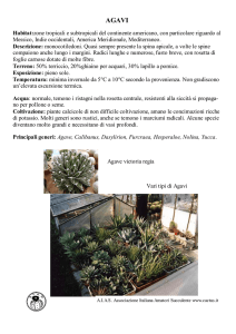 Habitat:zone tropicali e subtropicali del continente americano, con