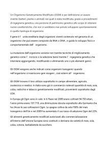 Un Organismo Geneticamente Modificato (OGM) è per definizione