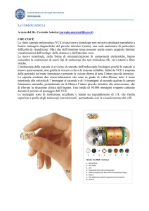 LA VIDEOCAPSULA A cura del Dr. Corrado Asteria