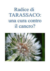 Radice di TARASSACO - El Camino de Salida