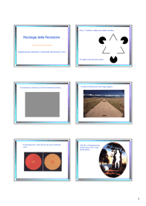 Psicologia della Percezione