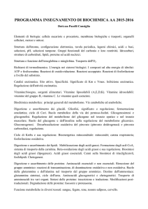 PROGRAMMA INSEGNAMENTO DI BIOCHIMICA AA 2015-2016