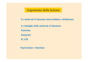 Molecole di adesione intercellulare