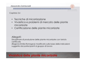 Alessandra Zambonelli (Università di Bologna)