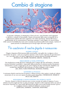 Cambio di stagione - farmacia san solutore