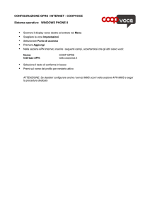 CONFIGURAZIONE GPRS / INTERNET