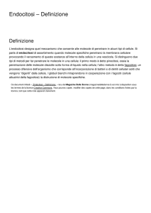 Endocitosi – Definizione